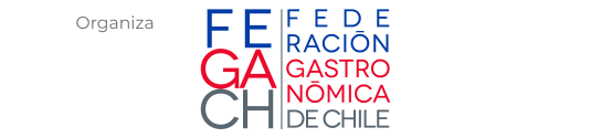 1_logos_partners_organiza